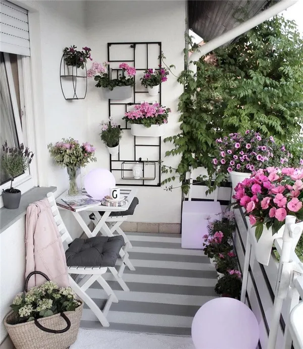 19 восхитительных цветов и растений для балкона. балконные цветы фото и названия. 5
