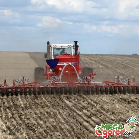 технология выращивания кукурузы на силос – особенности выращивания и уборки урожая. технология возделывания кукурузы на силос. 9