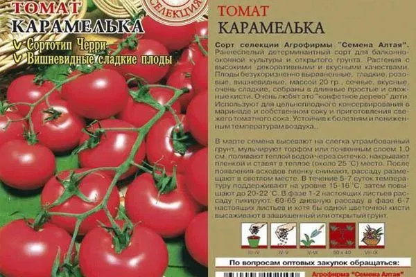 описание росийского томата карамель f1, выращивание на участке и разновидности сорта. томат карамель красная отзывы. 11